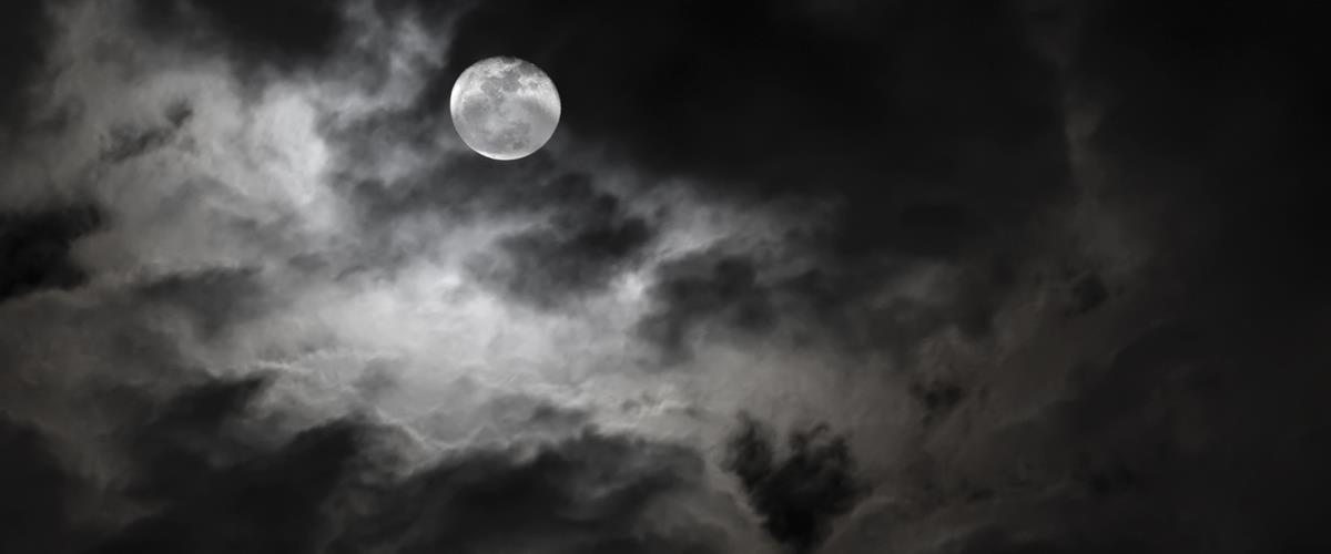 Experience spine-tingling thrills at The Haunt at Cottonwood Forest in Williston, ND. Open October 10–31, 2025, this haunted attraction delivers scares under the stars. Admission $25, cash only.