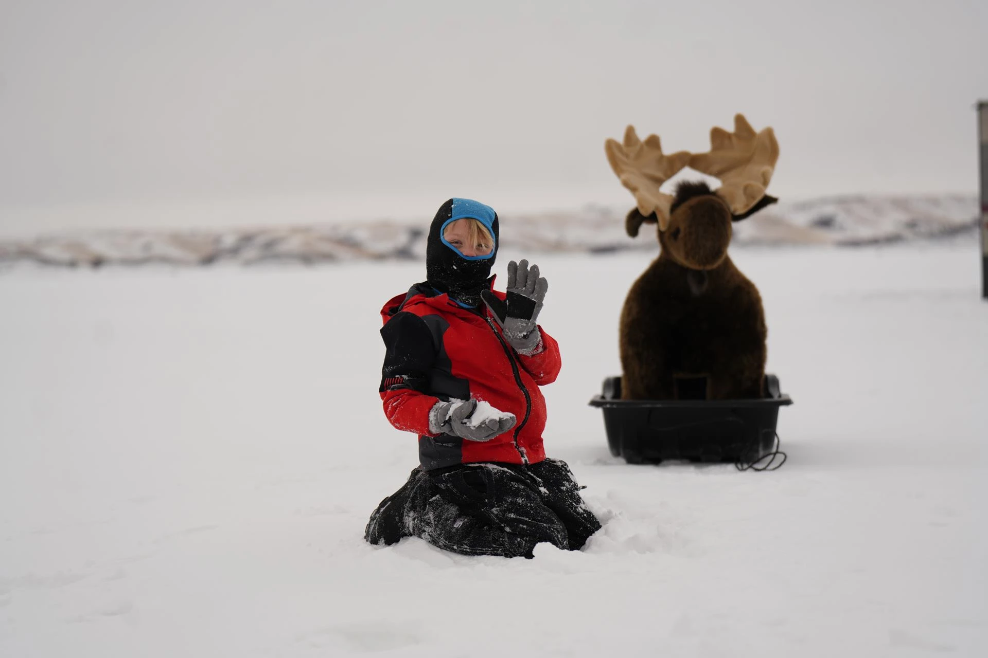 Embrace the magic of winter in Williston!