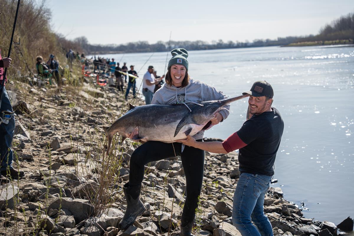 Experience North Dakota’s paddlefish snagging season May 1–21, 2026. Join anglers on the Missouri and Yellowstone rivers for this unique fishing tradition—harvest and snag-and-release days included.